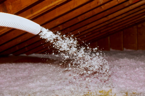 Best Types of Insulation in Coyne Center, IL