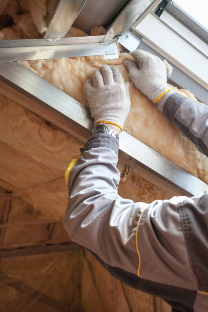 Best Insulation for Specific Applications in Coyne Center, IL